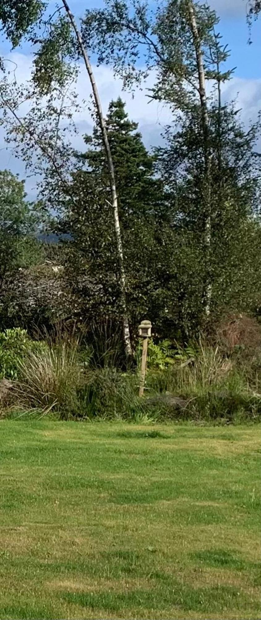 Willa Tawny Owl Pod With Hot Tub Oban Zewnętrze zdjęcie